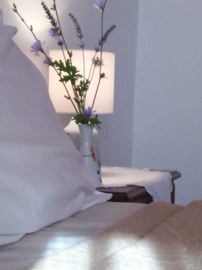 Appartement Niki